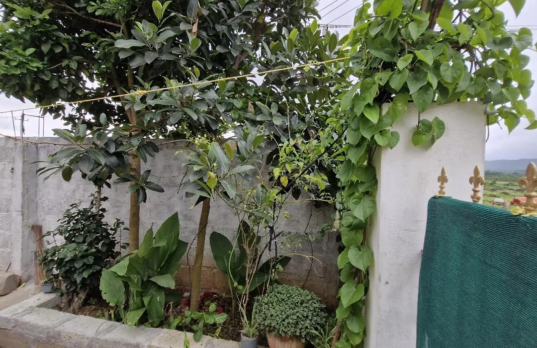 Malgudi Mane Homestay-1